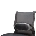 Cojín Lumbar I-Spire Series™